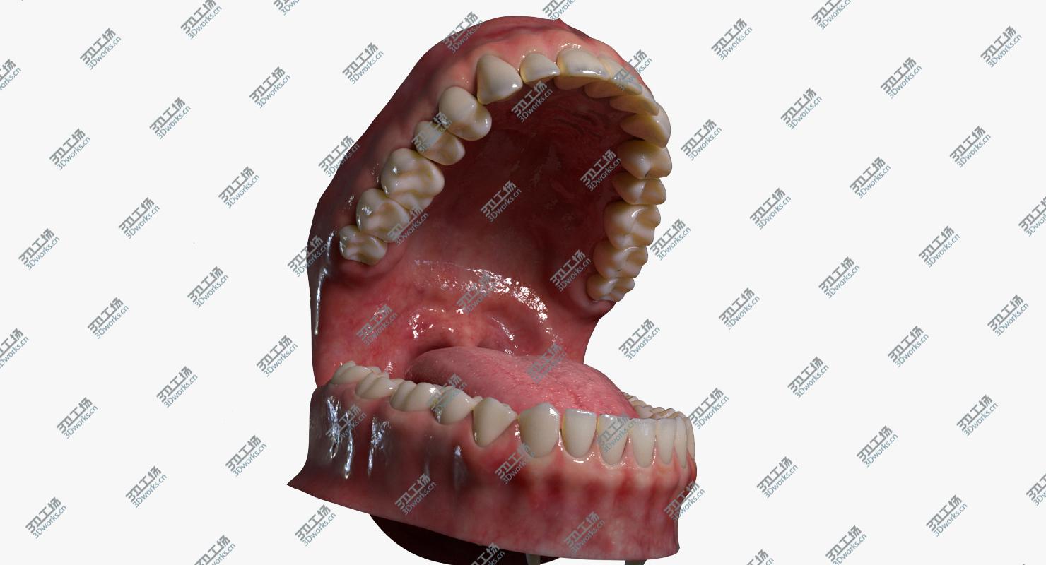 images/goods_img/20210113/3D Mouth (Rigged)/5.jpg